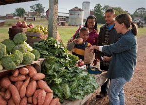 photo of family buying a bag of vegetables from a roadside vegetable stand showing a variety of vegetables
