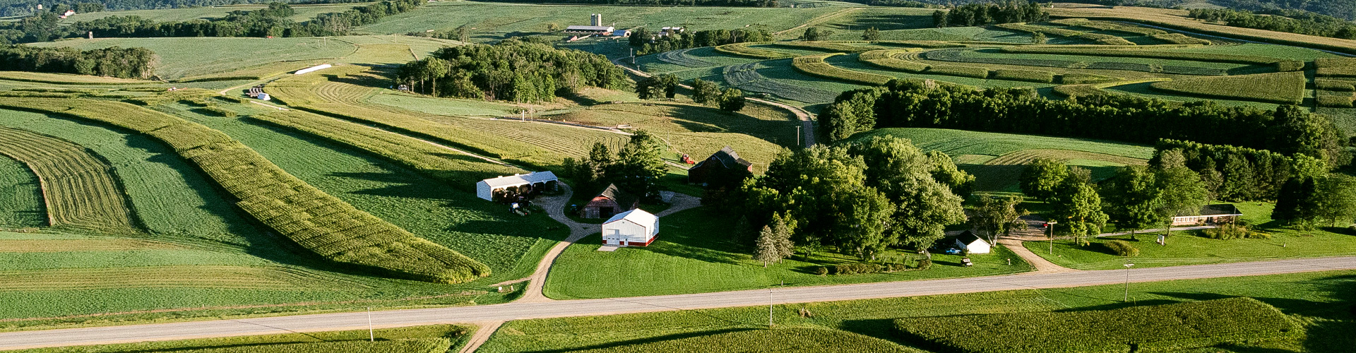 Arial photo of rolling hills showing a combination of crop rows, trees and farm buildings
