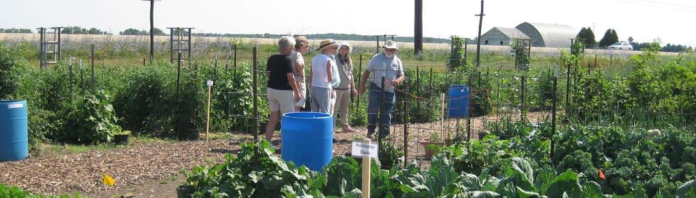 image of a group of six Rock County residents walking and talking amongst the garden plots