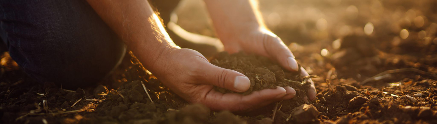 closeup image of a farmer kneeling down gathering a large hand full of soil in both hands