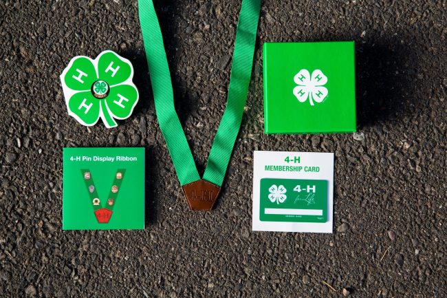 many various 4-H awards, pins, ribbons, stickers, etc